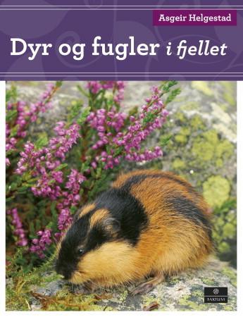 Bilde av Dyr Og Fugler I Fjellet Av Asgeir Helgestad