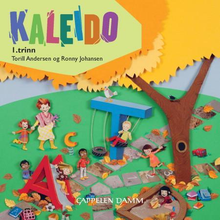 Kaleido - 1. trinn