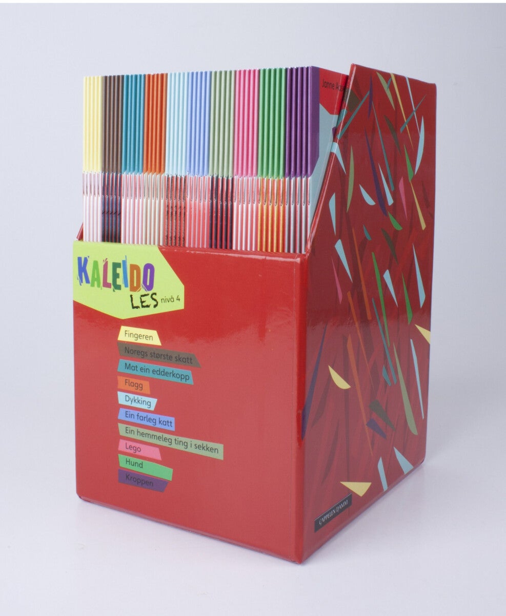 Kaleido les - nivå 4