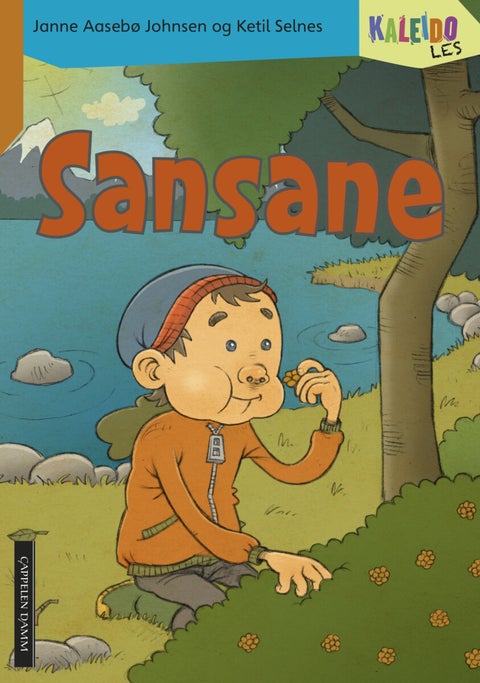 Kaleido les - nivå 2 : sansane