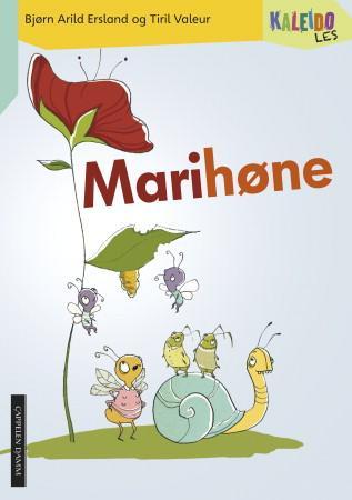 Kaleido les - nivå 3 : marihøne