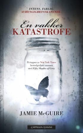 En vakker katastrofe