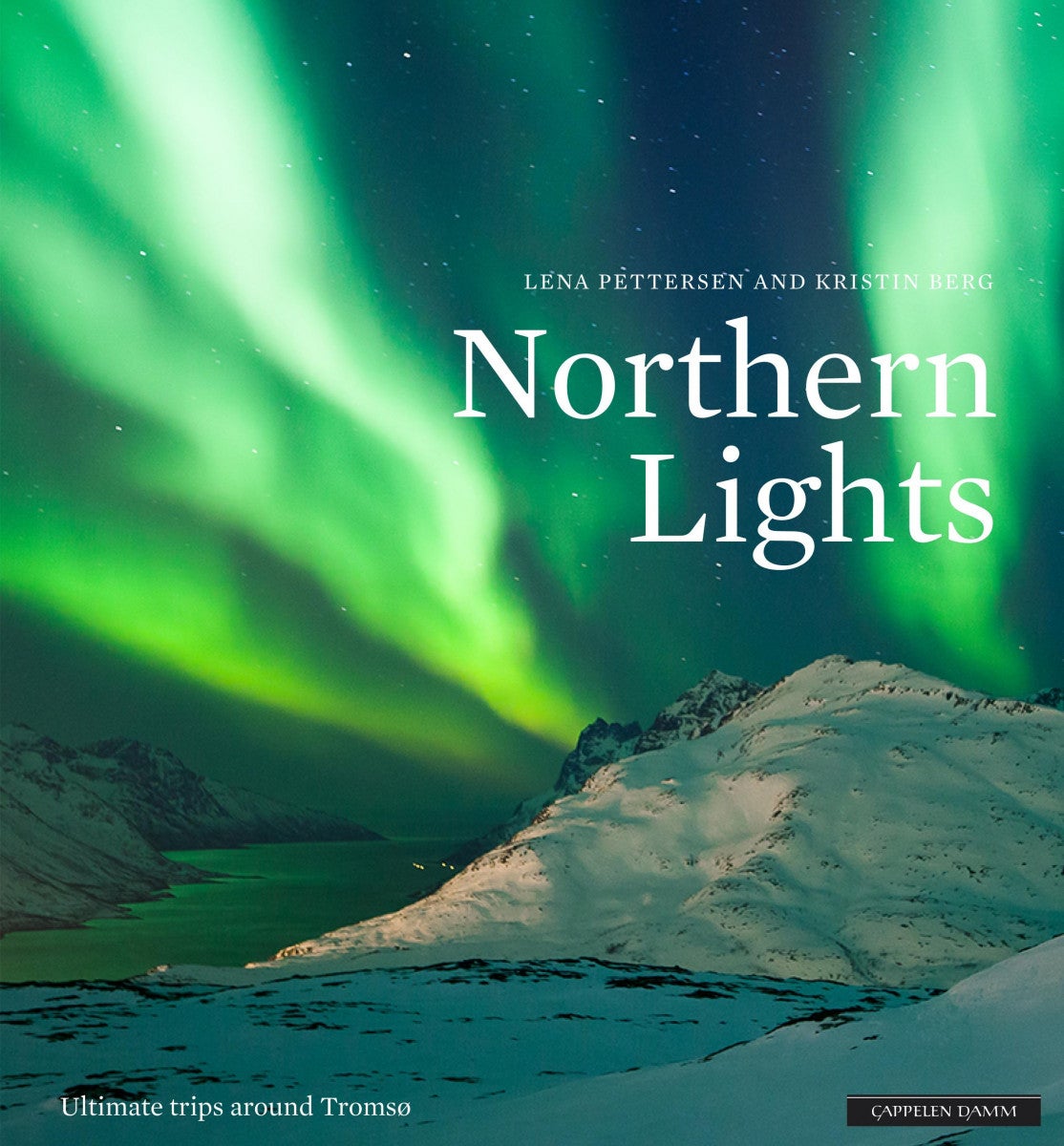 Northern lights - ultimate trips around Tromsø