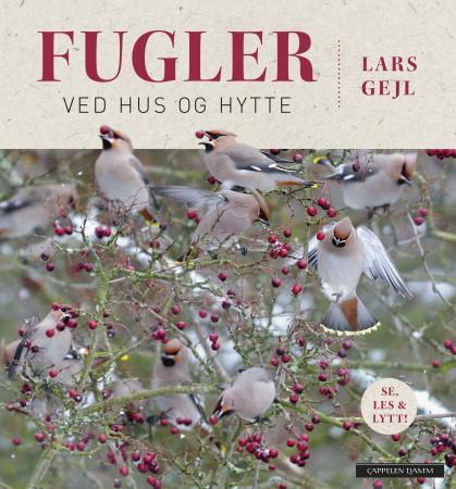 Fugler ved hus og hytte
