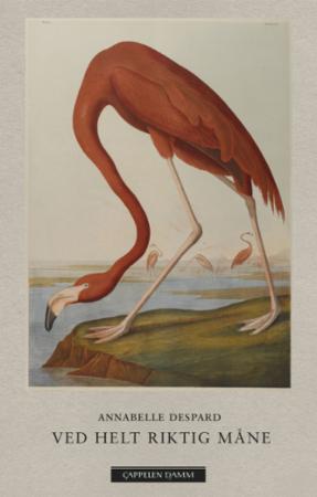 book cover thumbnail