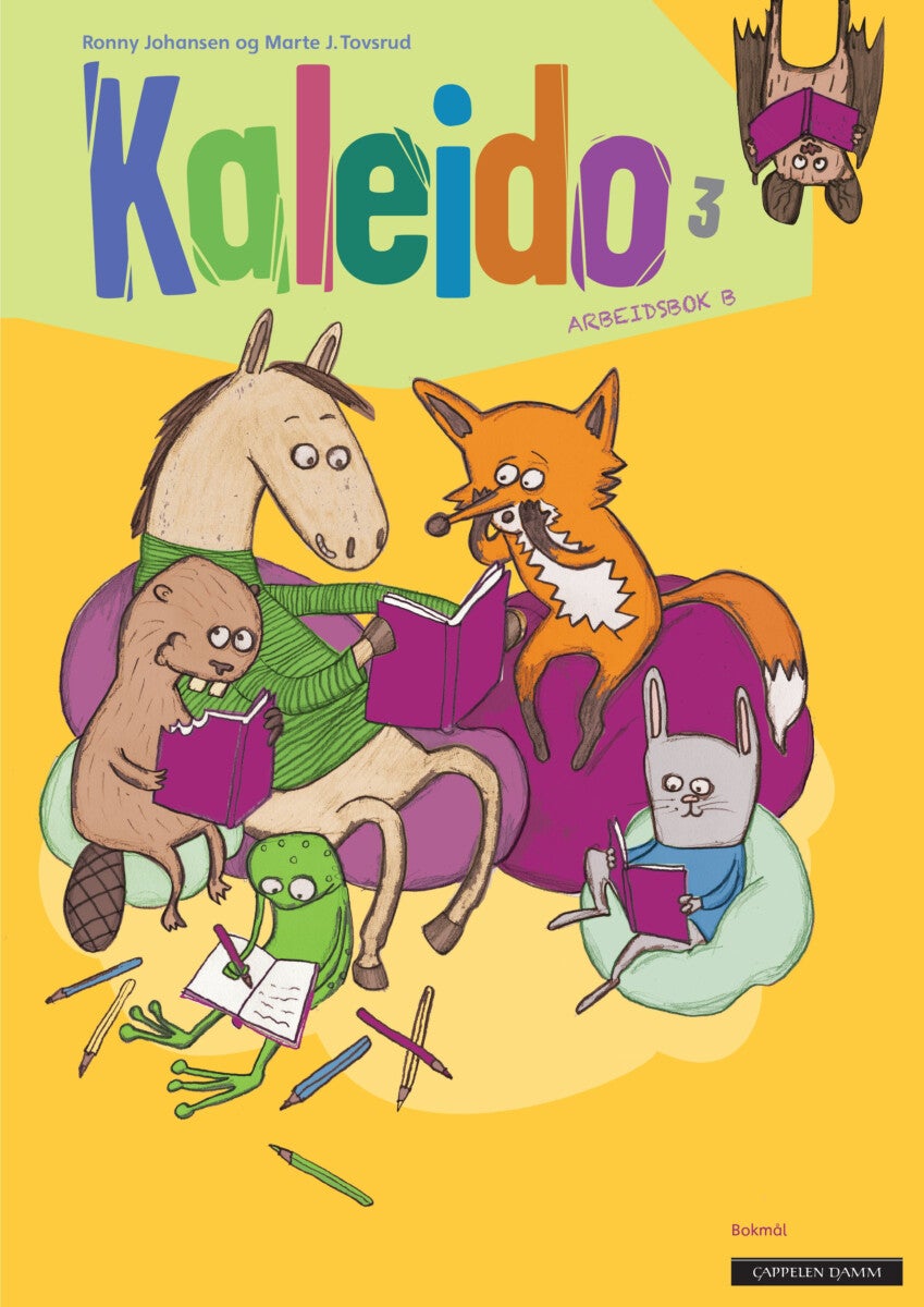 Kaleido 3 - Arbeidsbok B