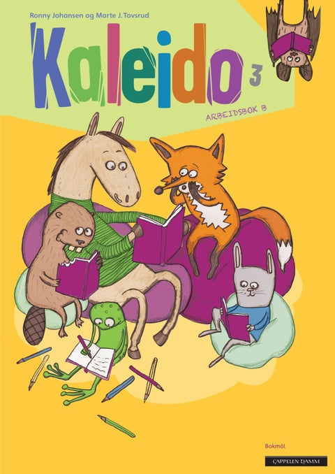 Kaleido 3 - Arbeidsbok B