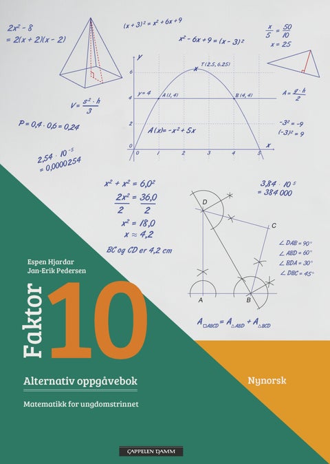 Faktor 10 - Alternativ oppgåvebok : matematikk for ungdomstrinnet