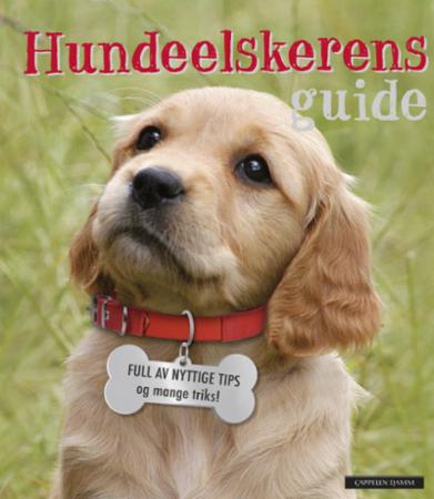 Hundeelskerens guide - full av nyttige tips og masse triks!