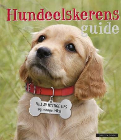 Hundeelskerens guide - full av nyttige tips og masse triks!