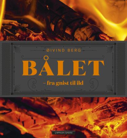 Bålet - fra gnist til ild
