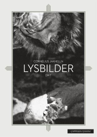 Lysbilder - dikt