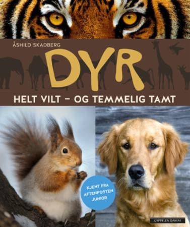 Dyr - helt vilt - og temmelig tamt