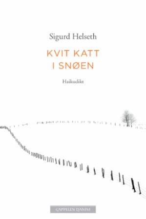 Kvit katt i snøen - haikudikt