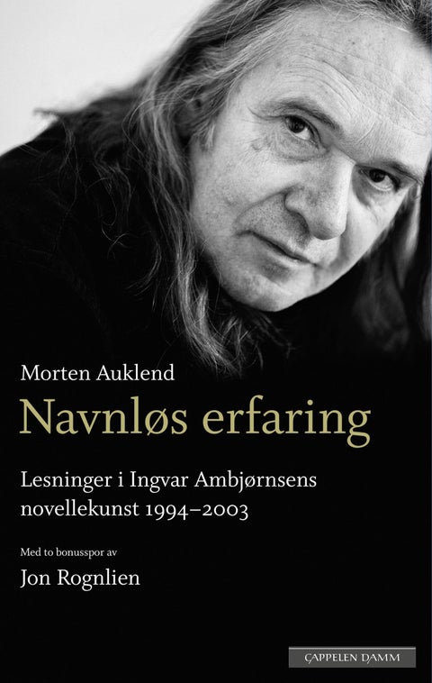 Navnløs erfaring - lesninger i Ingvar Ambjørnsens novellekunst 1994-2003 : med to bonusspor om forfatterskapet av Jon R