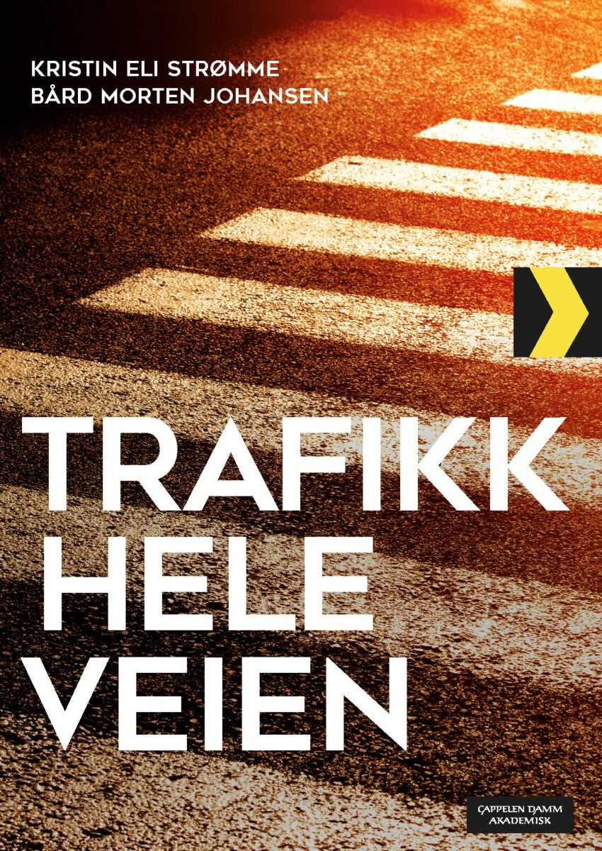Trafikk hele veien - en bok om trafikkopplæring i skolen