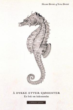 Å dykke etter sjøhester - en bok om hukommelse