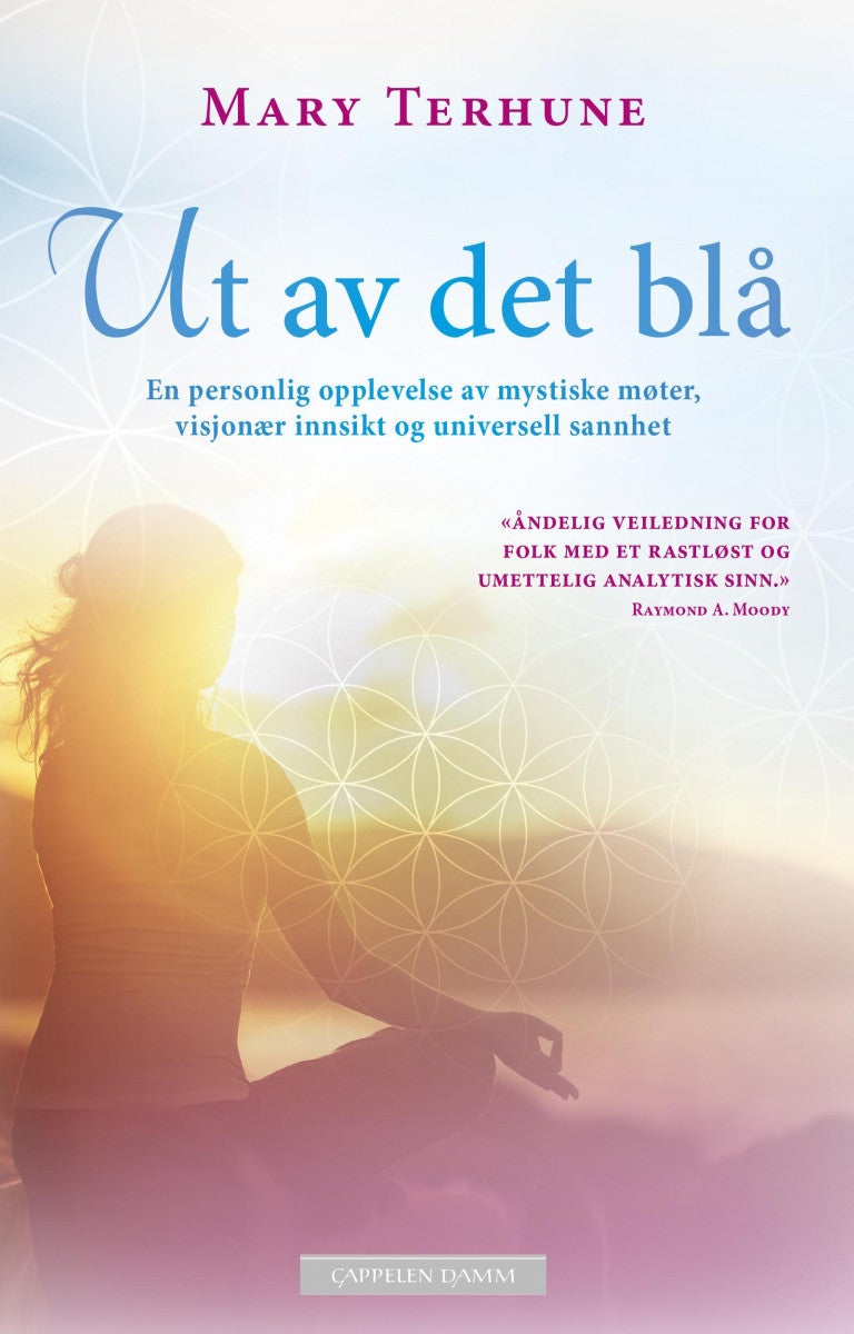 Ut av det blå - en personlig opplevelse av mystiske møter, visjonær innsikt og universell sannhet