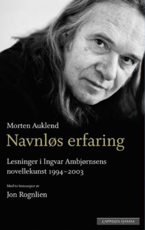 Navnløs erfaring - lesninger i Ingvar Ambjørnsens novellekunst 1994-2003 : med to bonusspor om forfatterskapet av Jon Rognlien