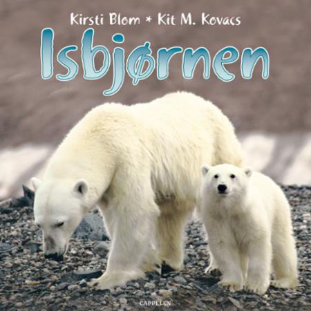 Bilde av Isbjørnen Av Kirsti Blom, Kit M. Kovacs
