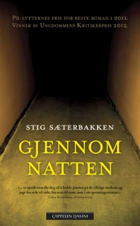 Gjennom natten - roman