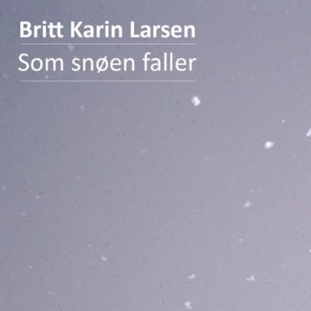 Som snøen faller - roman