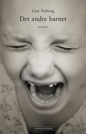 Det andre barnet - roman