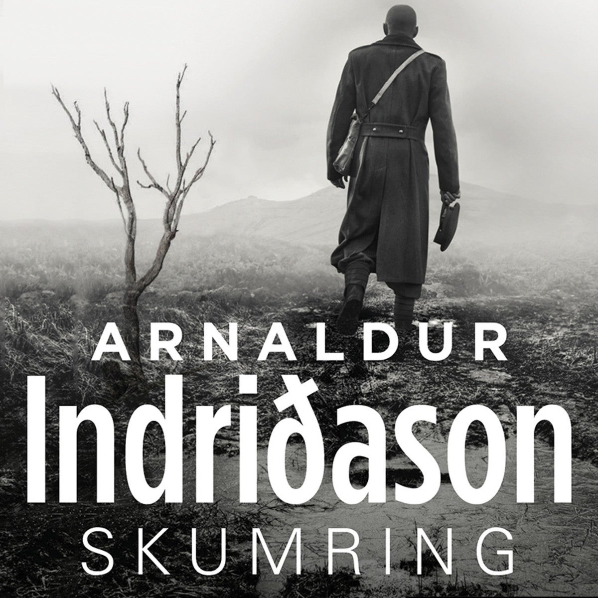 book cover thumbnail