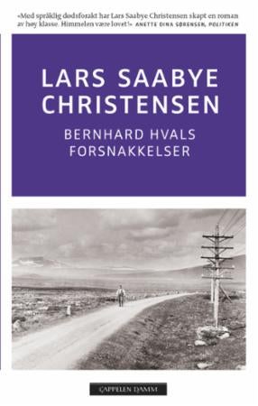 Bernhard Hvals forsnakkelser - roman