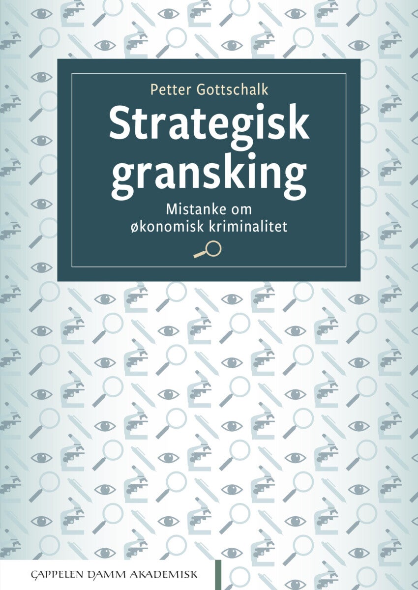 Strategisk gransking - mistanke om økonomisk kriminalitet