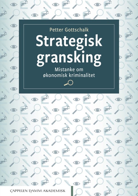 Strategisk gransking - mistanke om økonomisk kriminalitet