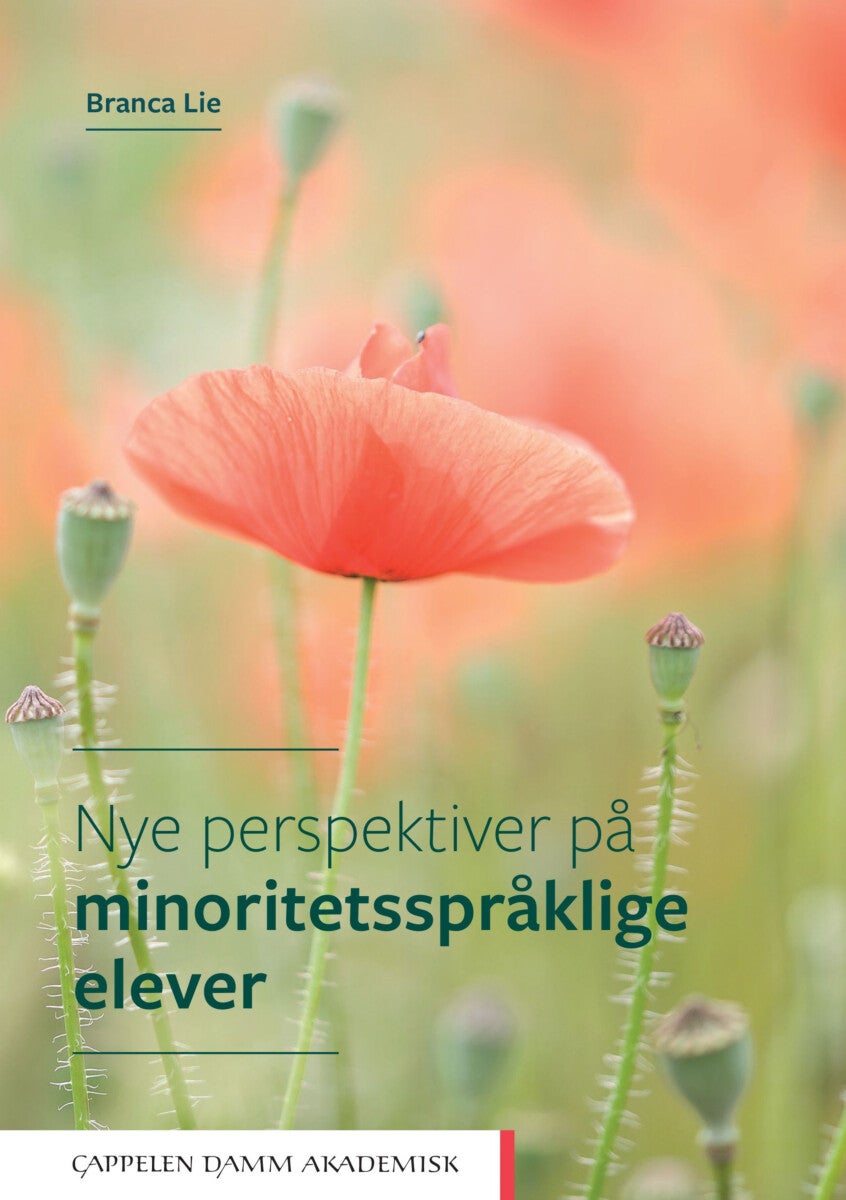 Nye perspektiver på minoritetsspråklige elever - en pedagogisk-psykologisk tilnærming