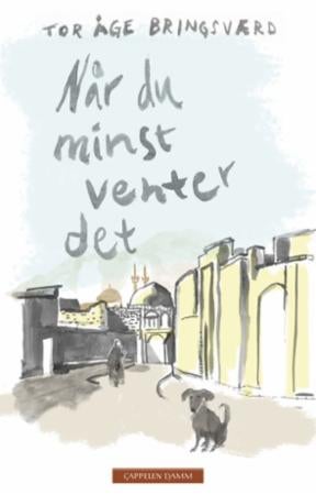 Når du minst venter det - fragmentroman