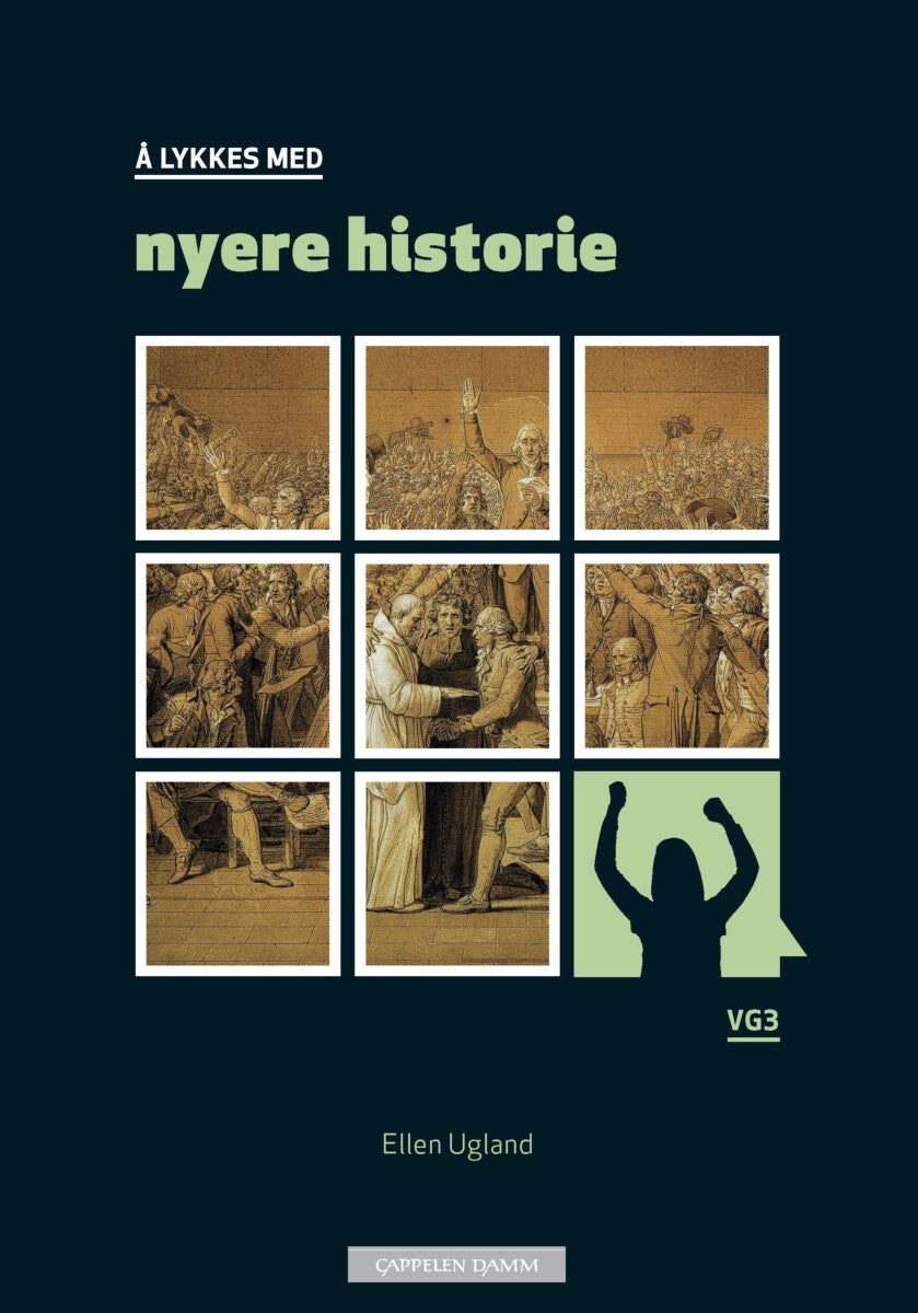 Å lykkes med nyere historie