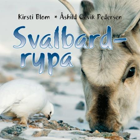 Bilde av Svalbardrypa Av Kirsti Blom, Åshild Ønvik Pedersen