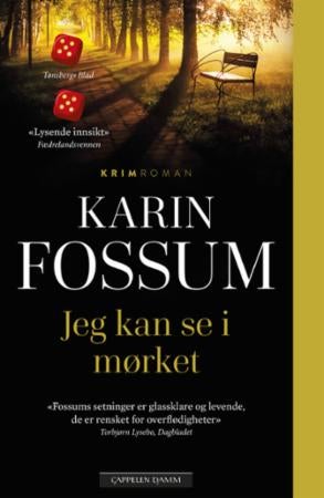 Jeg kan se i mørket - roman