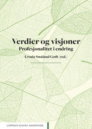 Verdier og visjoner - profesjonalitet i endring