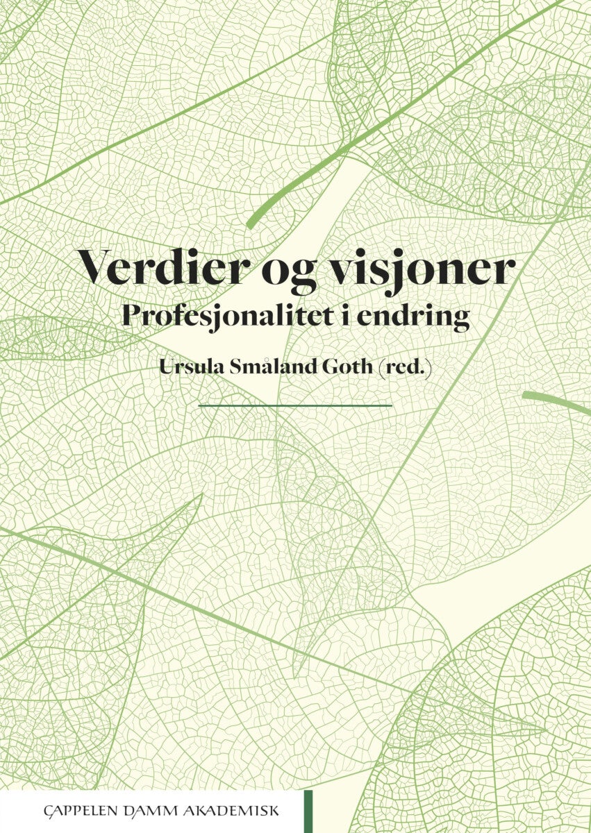 Verdier og visjoner - profesjonalitet i endring