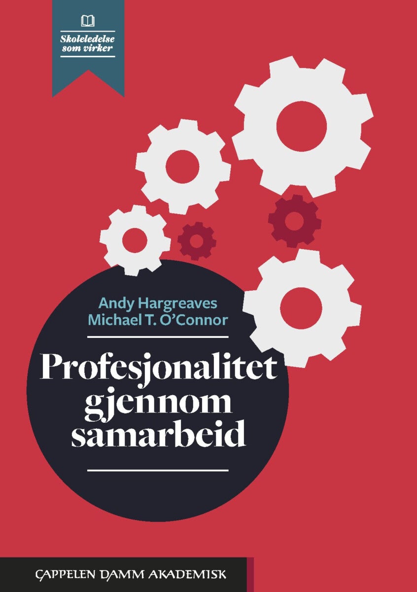 Profesjonalitet gjennom samarbeid - når undervisning i samarbeid gir læring for alle