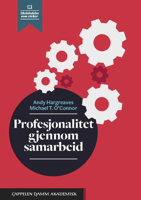 Profesjonalitet gjennom samarbeid - når undervisning i samarbeid gir læring for alle