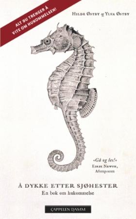 Å dykke etter sjøhester - en bok om hukommelse