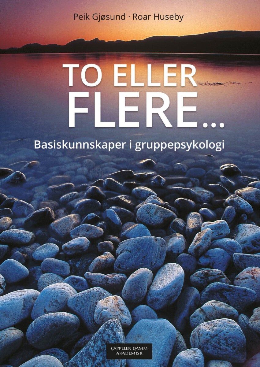 To eller flere - basiskunnskaper i gruppepsykologi