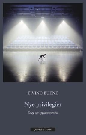 Nye privilegier - essay om oppmerksomhet