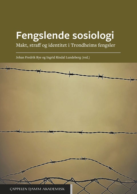 Fengslende sosiologi - makt, straff og identitet i Trondheims fengsler