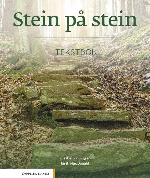 Stein på stein - Tekstbok : norsk og samfunnskunnskap for voksne innvandrere, nivå B1