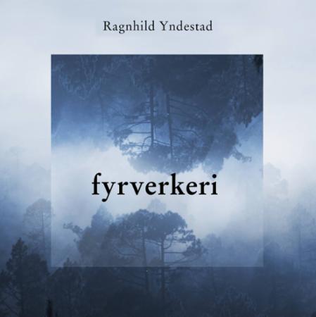 Fyrverkeri