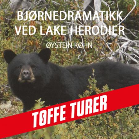 Bilde av Bjørnedramatikk Ved Lake Herodier Av Øystein Køhn