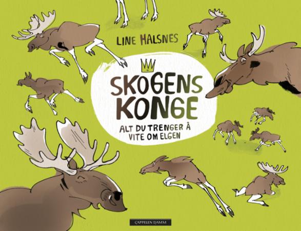 Skogens konge - alt du vil vite om elgen