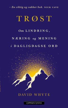 Trøst - om lindring, næring og mening i dagligdagse ord