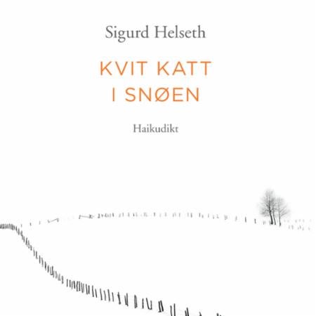 Kvit katt i snøen - haikudikt